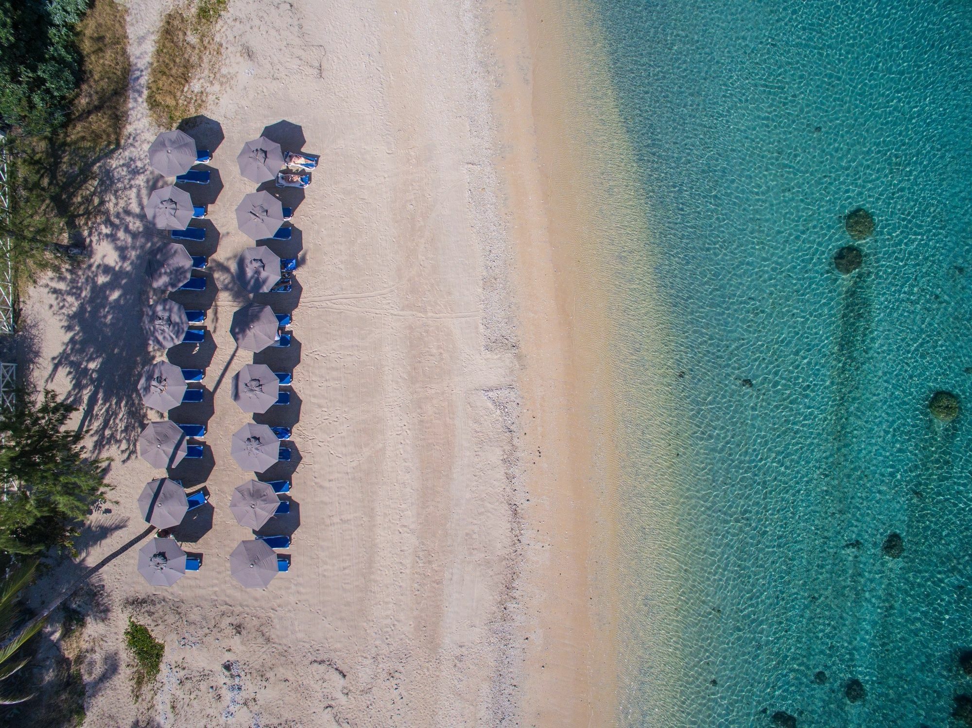 Le Nautile Beachfront Saint-Gilles-les Bains Dış mekan fotoğraf